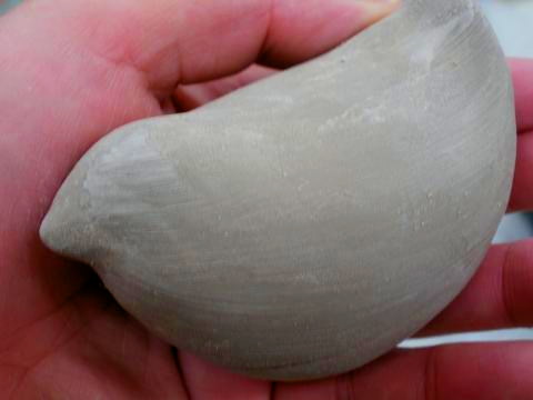 d0021649_2265811.jpg