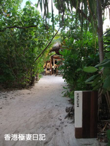 f0190653_1342413.jpg