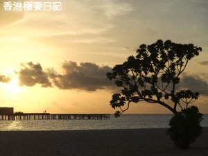 f0190653_1342887.jpg