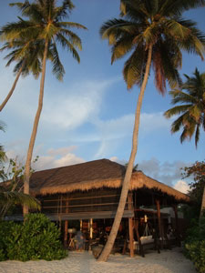 f0190653_134456.jpg