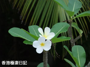 f0190653_16165984.jpg