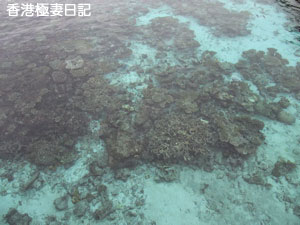 f0190653_1742714.jpg