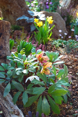 e0025655_16471031.jpg