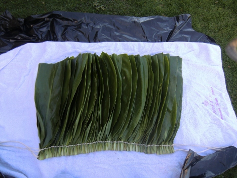 e0033156_12573057.jpg