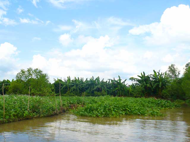 c0185657_1242053.jpg