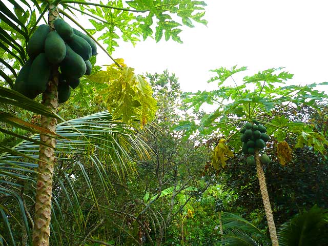 c0185657_1245993.jpg