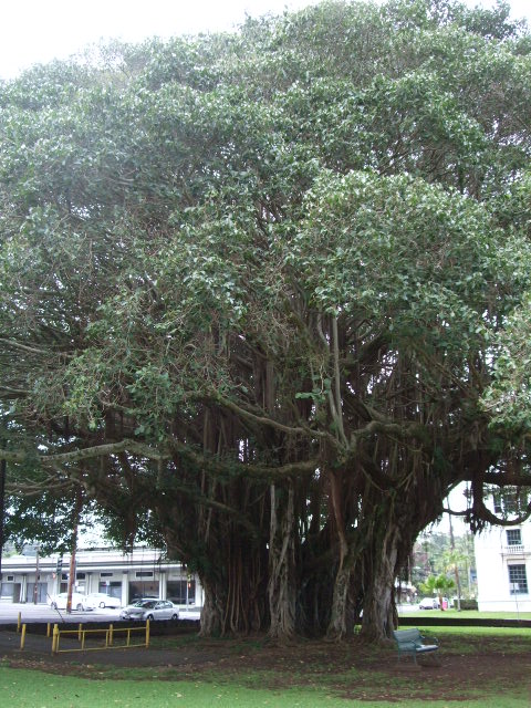 f0203260_1618383.jpg
