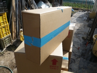 f0055264_18554745.jpg