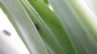 f0055264_19244445.jpg