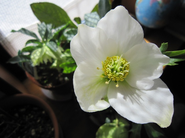 c0202870_1035690.jpg