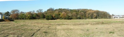 c0112172_3184472.jpg