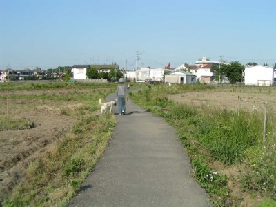 c0112172_3205243.jpg