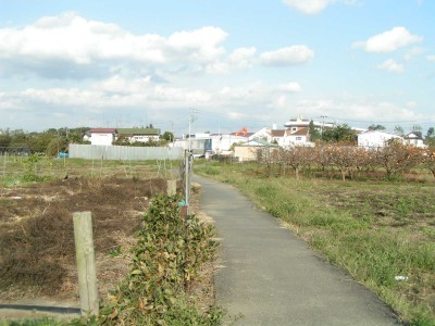 c0112172_3211055.jpg