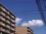 a0142083_2215890.jpg