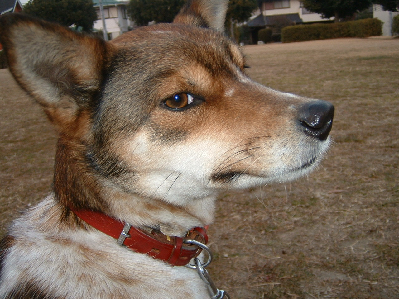 b0122485_12292432.jpg