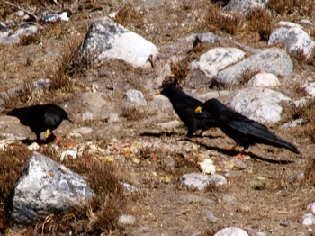 f0159390_1045781.jpg