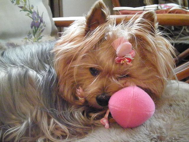 f0130894_20152719.jpg