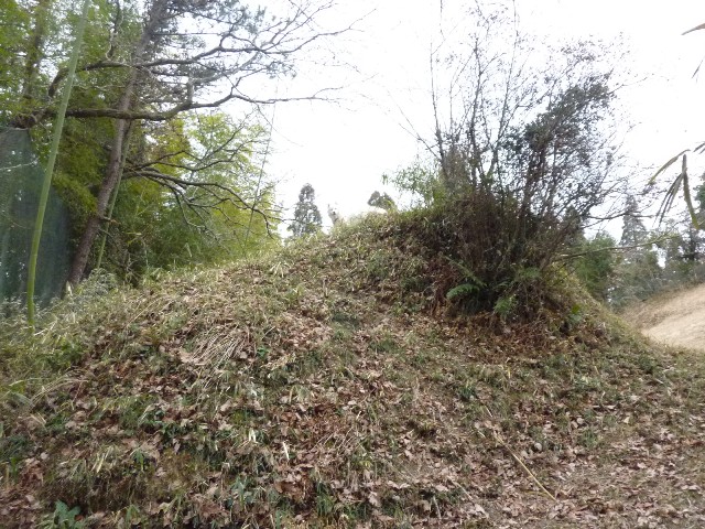 e0018604_16391676.jpg