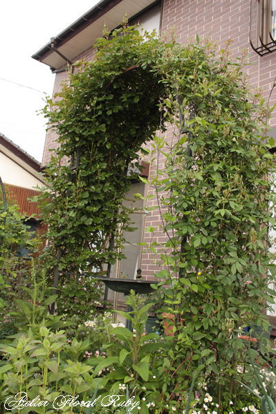 d0001008_174813100.jpg