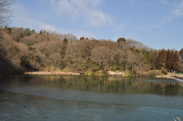 f0188408_1544977.jpg