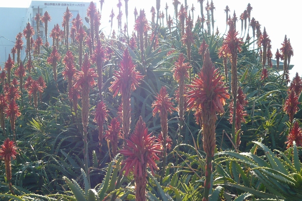 f0221708_230274.jpg