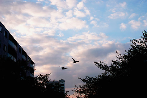 b0209810_16331638.jpg