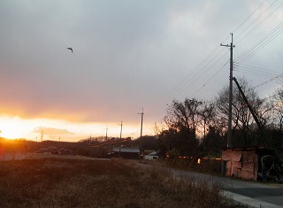 c0190010_2114219.jpg