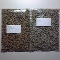 c0036617_1722528.jpg