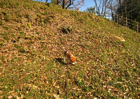 c0084117_218550.jpg