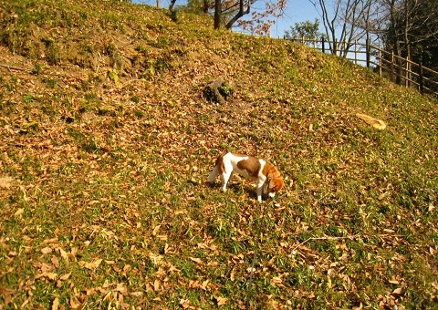 c0084117_22155546.jpg