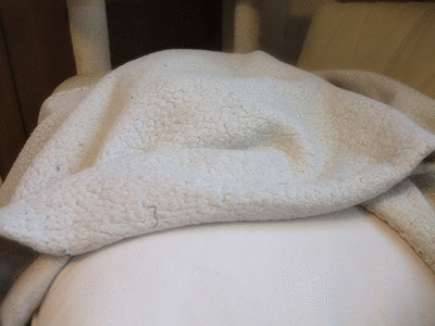 e0193822_22592381.gif