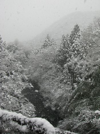 c0152123_227328.jpg