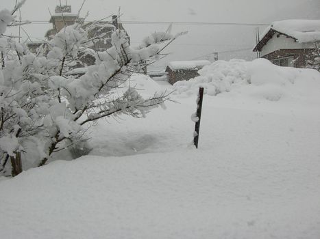 c0152123_2275015.jpg