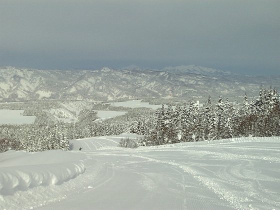 b0199924_20474310.jpg
