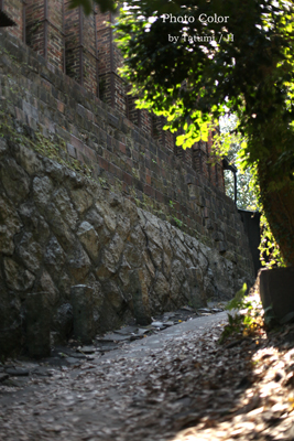 f0078127_7433753.jpg
