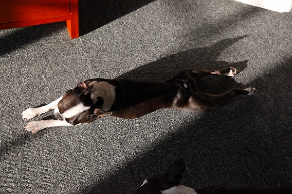 c0209932_20595947.jpg