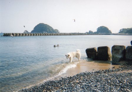 e0198839_2155457.jpg