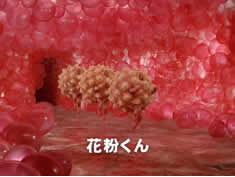 c0181543_0152265.jpg