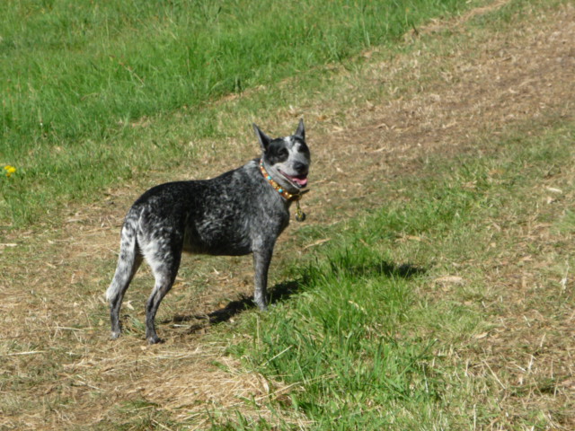 a0118447_17431074.jpg