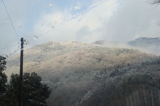 b0200747_1664276.jpg