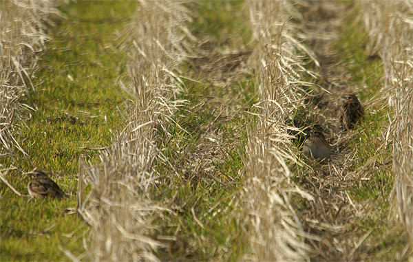 f0214649_1049076.jpg