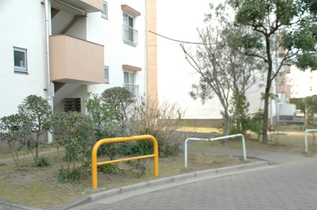 d0097857_20295142.jpg