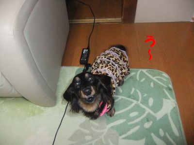 c0151866_18102617.jpg