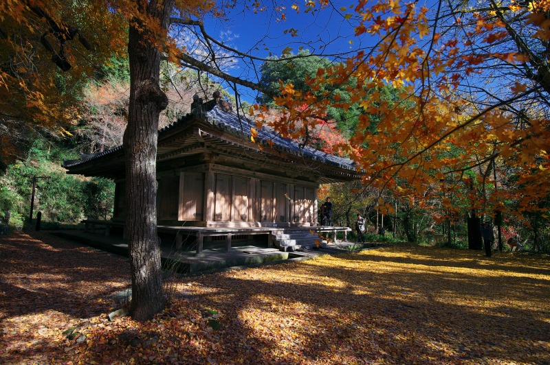 b0131167_19385427.jpg