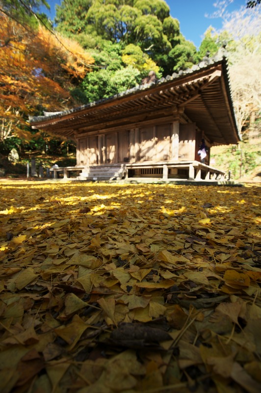 b0131167_19425610.jpg