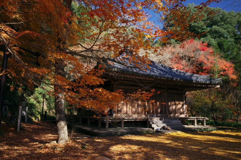 b0131167_19495100.jpg