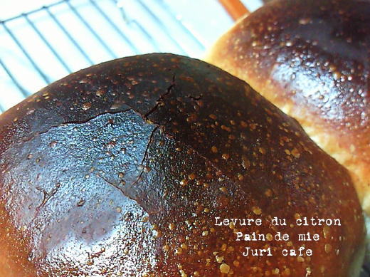 f0145575_21354617.jpg