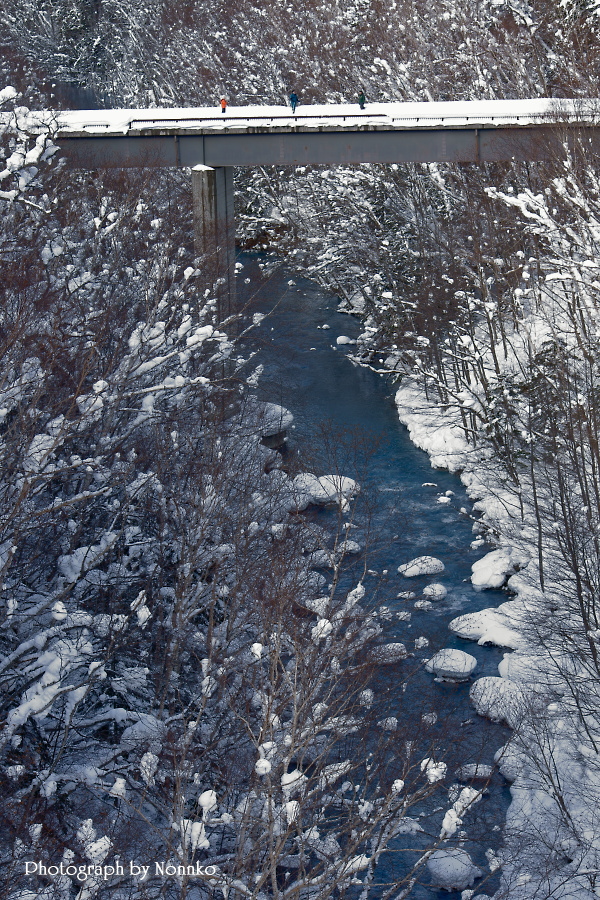 c0106977_21494813.jpg