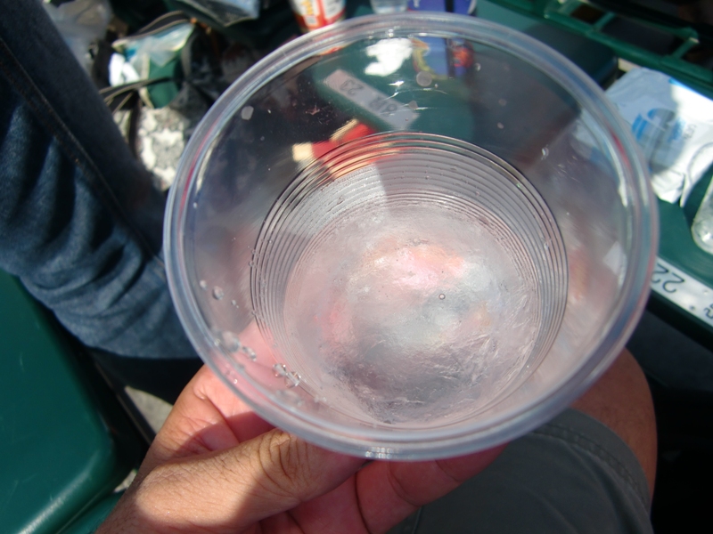 f0238779_9593248.jpg