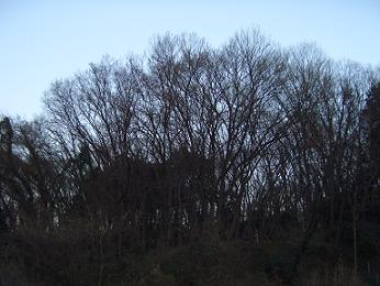 e0023790_20544269.jpg